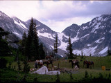 North Cascades National Park