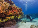 Biscayne National Park