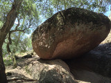 Pinnacles National Park