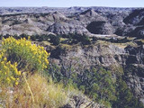 Wind Cave National Park