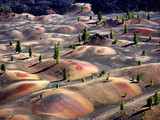 Kings Canyon National Park