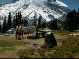 Mount Rainier National Park