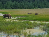 Lake Clark National Park