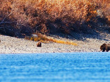 Kobuk Valley National Park