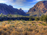 Big Bend National Park