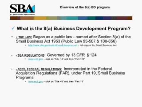 SBA 8(a) Business Development Program Webinar